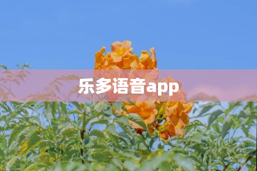 乐多语音app