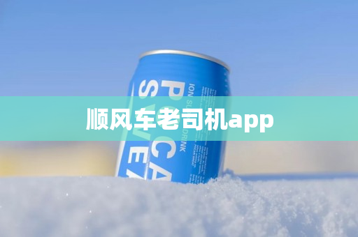 顺风车老司机app