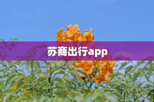 苏商出行app