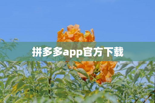 拼多多app官方下载