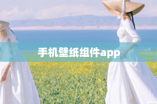 手机壁纸组件app