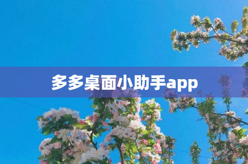 多多桌面小助手app