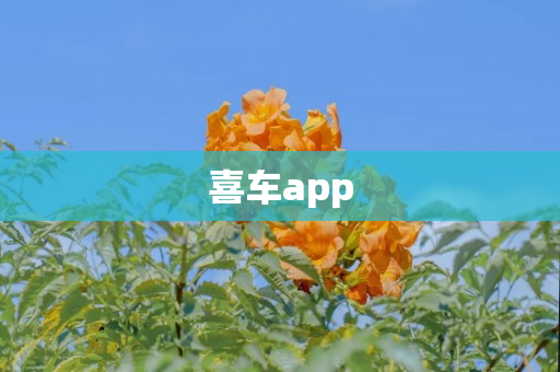 喜车app