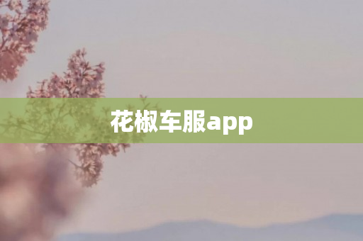 花椒车服app