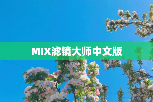 MIX滤镜大师中文版