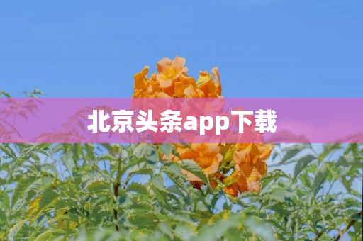 北京头条app下载