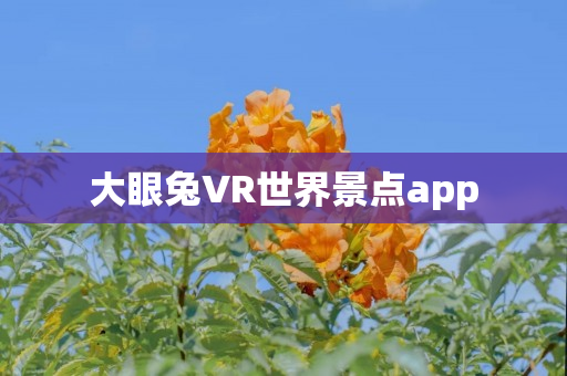 大眼兔VR世界景点app