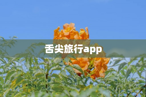 舌尖旅行app