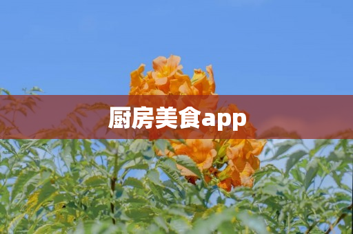 厨房美食app