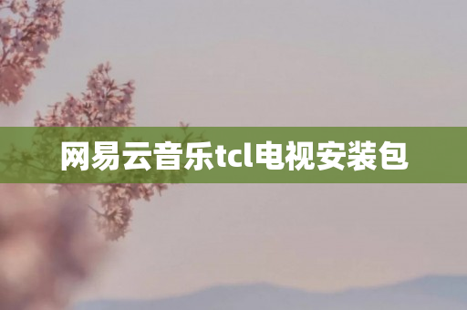 网易云音乐tcl电视安装包