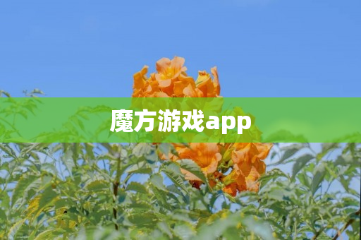 魔方游戏app