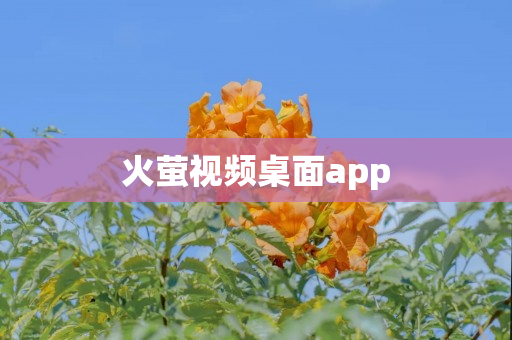 火萤视频桌面app