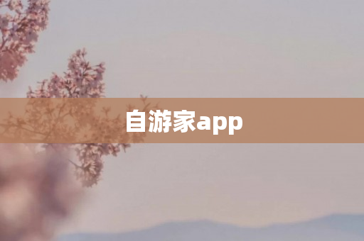 自游家app