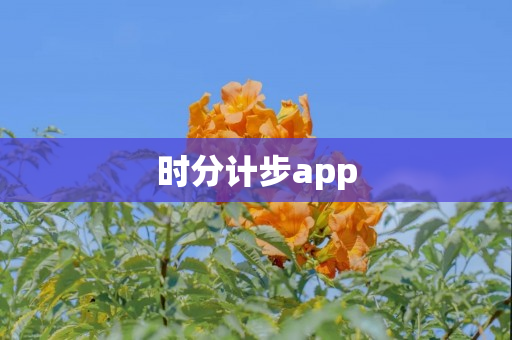 时分计步app