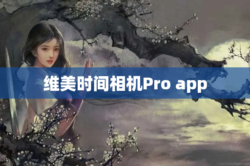 维美时间相机Pro app