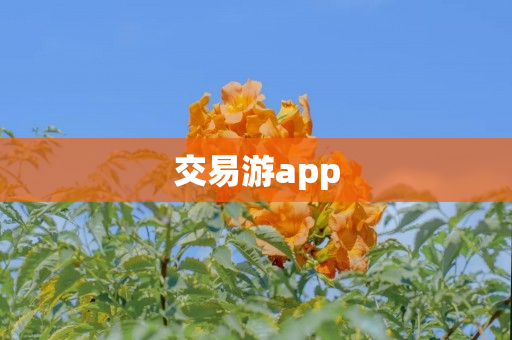 交易游app