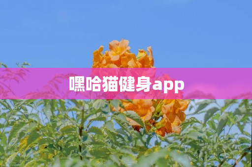 嘿哈猫健身app