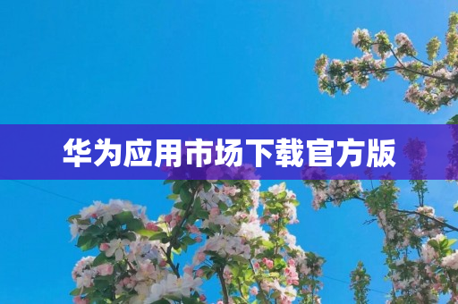 华为应用市场下载官方版