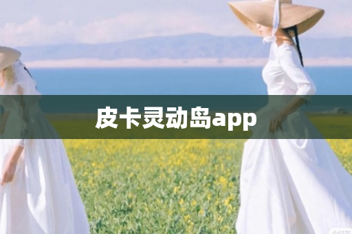 皮卡灵动岛app