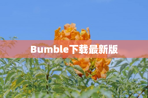 Bumble下载最新版