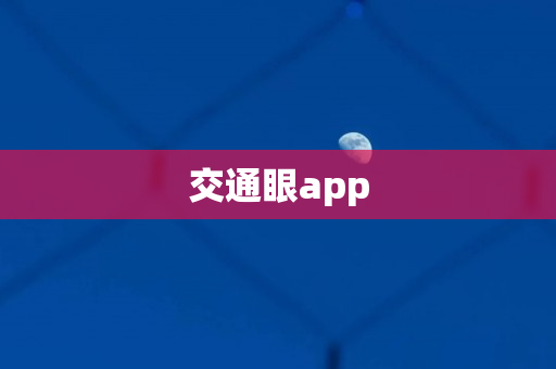 交通眼app