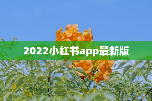 2022小红书app最新版