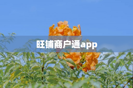 旺铺商户通app