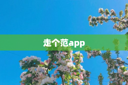 走个范app