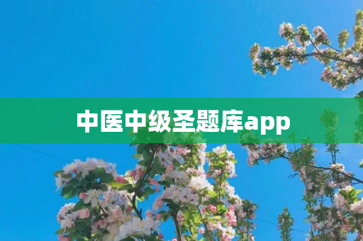 中医中级圣题库app