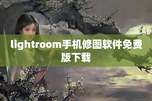 lightroom手机修图软件免费版下载