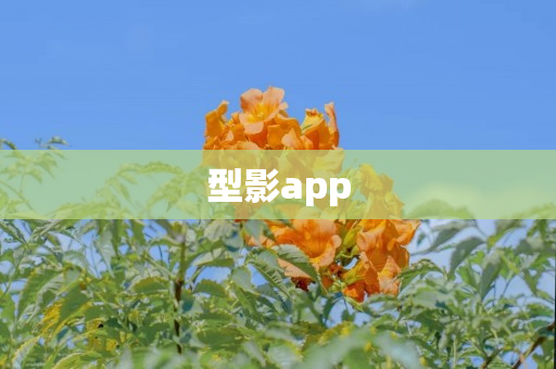 型影app