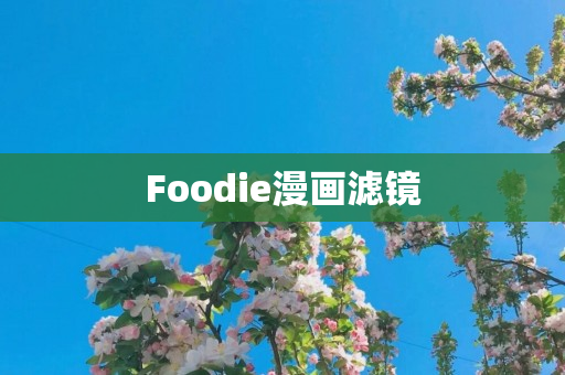 Foodie漫画滤镜