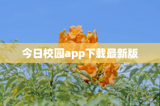 今日校园app下载最新版