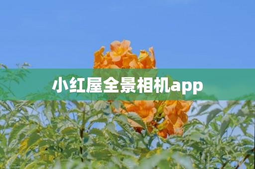 小红屋全景相机app