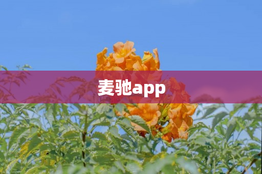 麦驰app