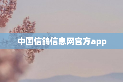 中国信鸽信息网官方app