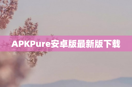 APKPure安卓版最新版下载