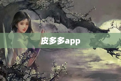 皮多多app