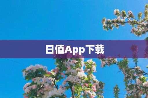 日值App下载