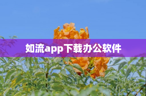 如流app下载办公软件