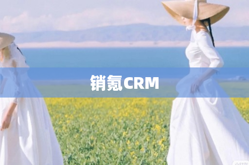 销氪CRM