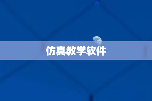 仿真教学软件