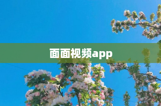 面面视频app