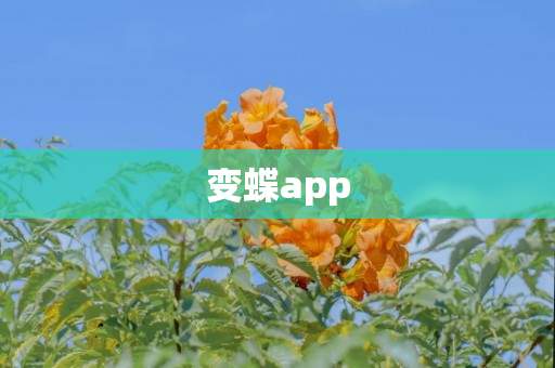 变蝶app