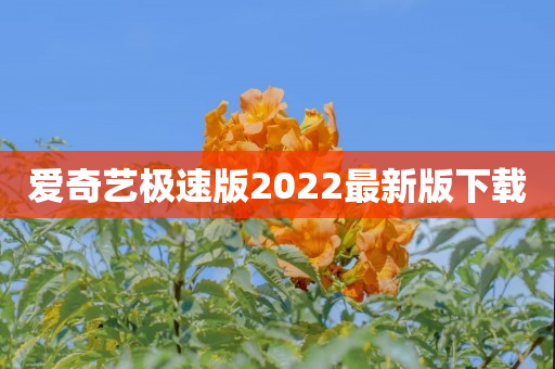 爱奇艺极速版2022最新版下载