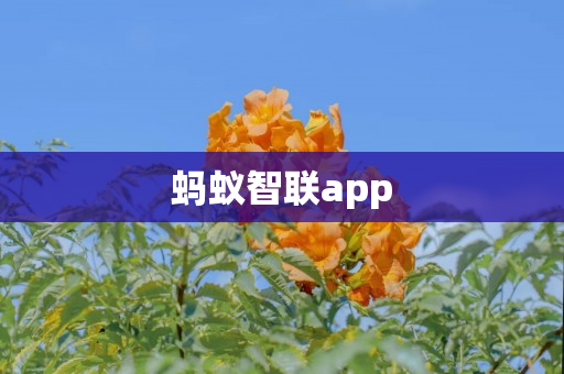 蚂蚁智联app