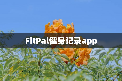 FitPal健身记录app