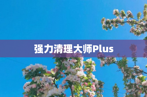 强力清理大师Plus