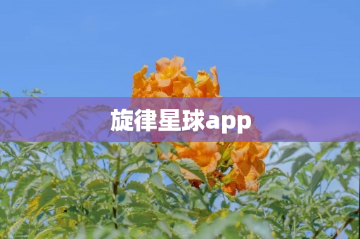 旋律星球app