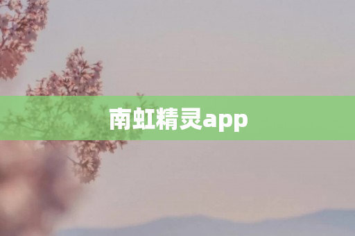 南虹精灵app